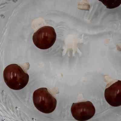 Seven lucky red seeds topped with miniature carved ivory elephants resting on a hexagonal crystal dish.: Up close image of the seven lucky red seeds topped with miniature carved ivory elephants resting on a hexagonal crystal dish. One of the small elephants has been detached and there is a small ivory elephant lying in the middle.
