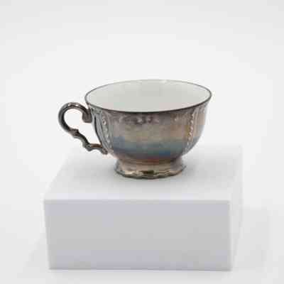 Cup: Image of a silver-plated cup.