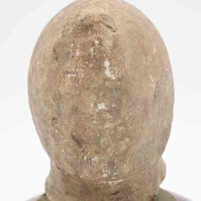 Back of Roman head: The back of his head is almost completely smooth.