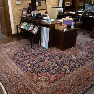 Red and blue area rug: A large red and blue area rug with intricate patterns and teal inner corners decorates the office space.