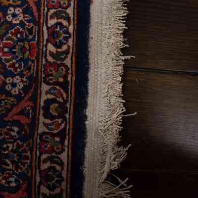 Red and blue area rug: The image shows a section of a rug, featuring intricate patterns in red and blue with white fringe.