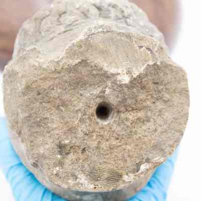 Bottom of Roman head: The carving has a small hole drilled into the bottom.