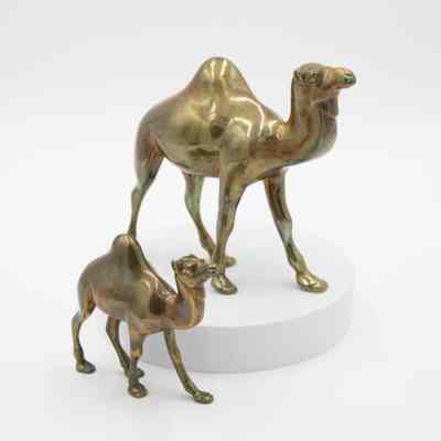 Brass Camels