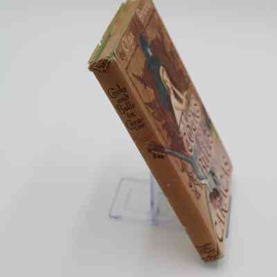 Book Spine of “Cocks and Bulls in Caracas”: The spine of “Cocks and Bulls in Caracas” features the book title in a black cursive script.