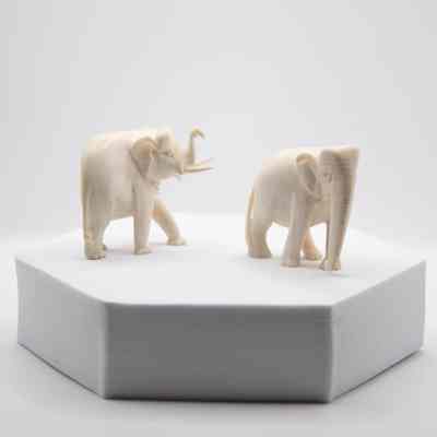 Pair of Carved Ivory Asian Elephants