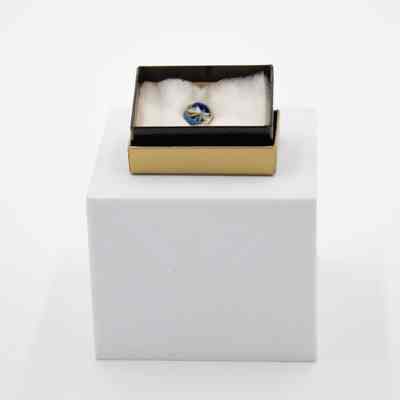 Sons of the American Revolution Member Rosette