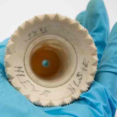 Bottom of the round carved ivory box.: Up close image of the bottom of the round carved ivory box. There are pencil marks drawn on the bottom but are illegible.