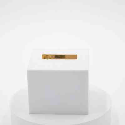 Gold tie bar: A gold tie bar with a studded pattern fully covering it, it has a small smooth rectangle in the center.