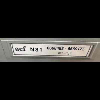ACF N81 - 6668483 through 6669175 - 36” High
