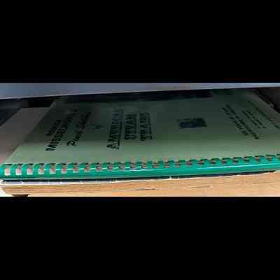 Short stack of books.