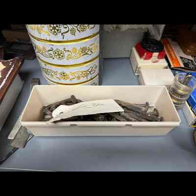 Narrow plastic tray with nails small spikes square- cut nails etc.