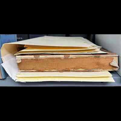 Book and other papers/brochures in file folders. Varying conditions.