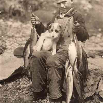 Taunton River Herring