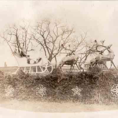 Taunton - Taunton Green - Christmas Display - 1931