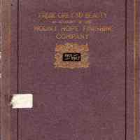 From Grey to Beauty: an account of the industry carried on at North Dighton by the Mount Hope Finishing Company