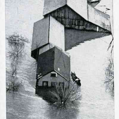 1936 Flood Are All Alive Here