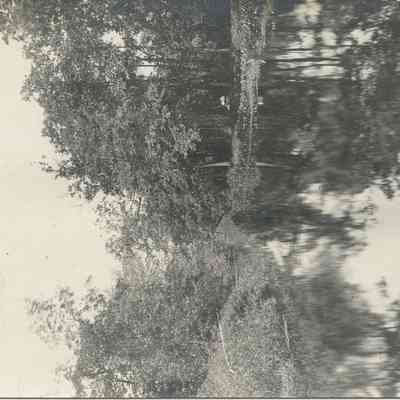 Three Mile river