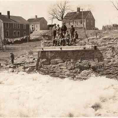 Taunton River - Herring