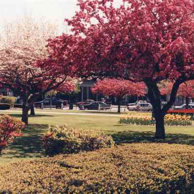 Taunton - Taunton Green - May 9 1993