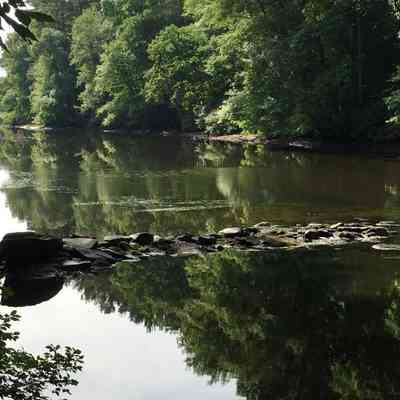 Taunton River - Ancient Ford - June 2020