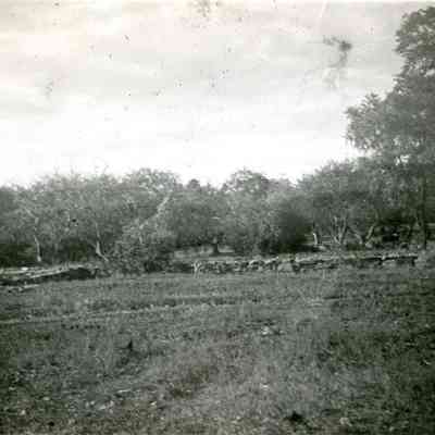Berkley - French Homestead