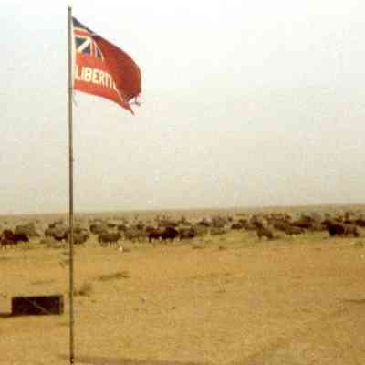 Military - 1990