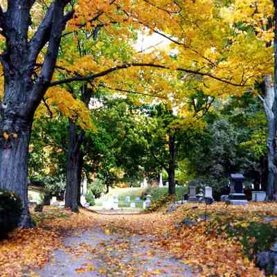 Cemeteries - Mount Pleasant - 2001 (7)