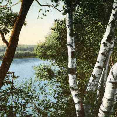 Taunton River - Weir