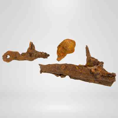 Musket
