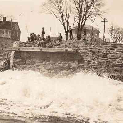 Taunton River - Herring (7)