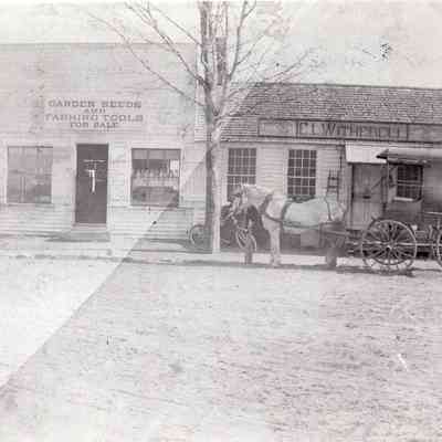 Taunton - Tremont Street - E.L. Witherell Store in Oakland
