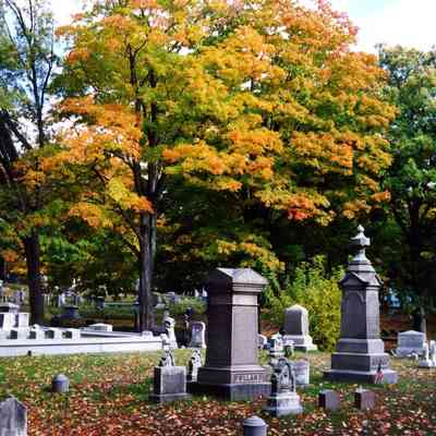 Cemeteries - Mount Pleasant - 2001 (6)