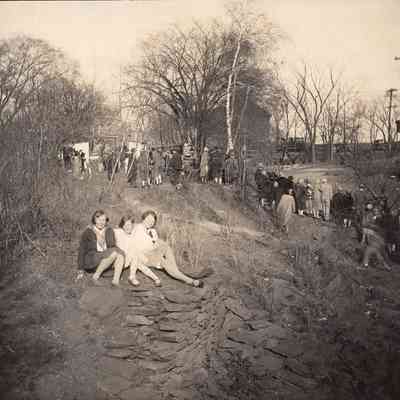 Taunton River Herring