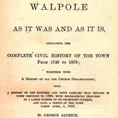 Walpole As It Was and As It Is: containing the complete civil history of the town from 1749 - 1879...
