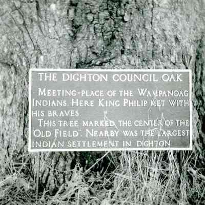 Dighton - Council Oak