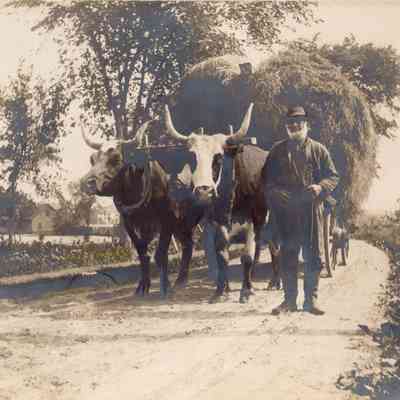 People - Mr. Mosses Lincoln with his ox cart