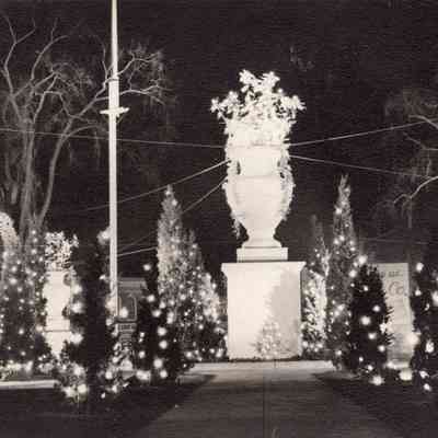 Taunton - Taunton Green - Christmas Display - 1935