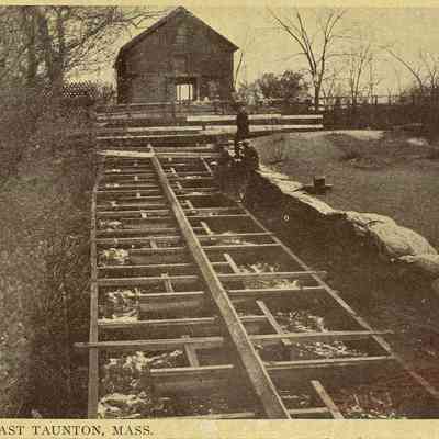 Herring Run, East Taunton, MA