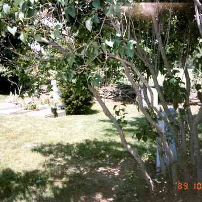 Dighton Community Church - 1994