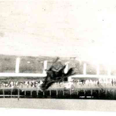 Bristol County Agricultural Society (2)