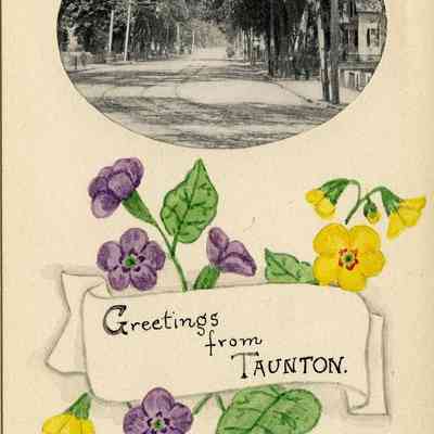 Taunton - Novelty
