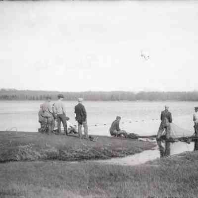 Taunton River Herring