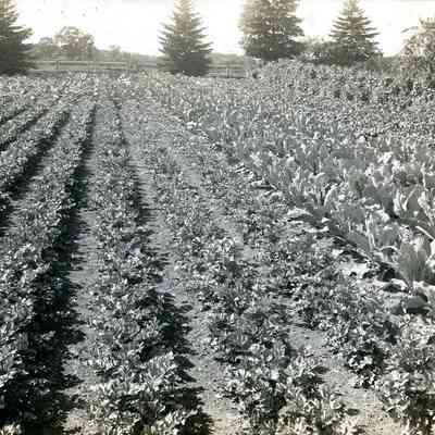 Bristol County Agricultural Society - Mason Farm (4)