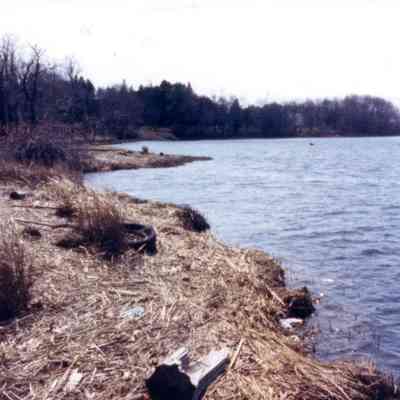 Berkley - Taunton River