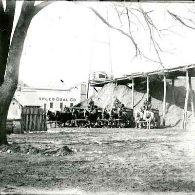Staples and Phillips Coal Company