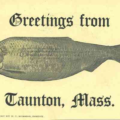 Greetings From Taunton MA