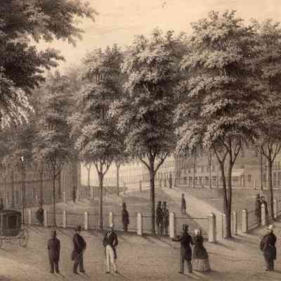 Taunton - Taunton Green - Illustrations