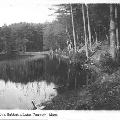 Lake Sabbatia, At the Cove