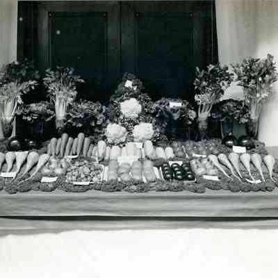 Bristol County Agricultural Society - Mason Farm (3)