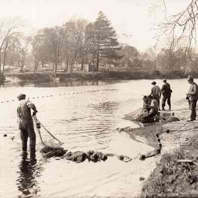 Taunton River - Herring - May 15, 1912